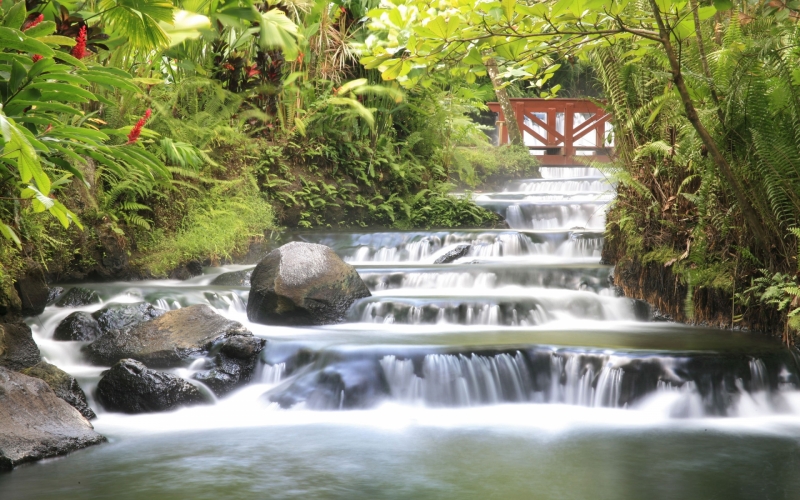 A Taste of Costa Rica and the Grand Spa at Tabacón 