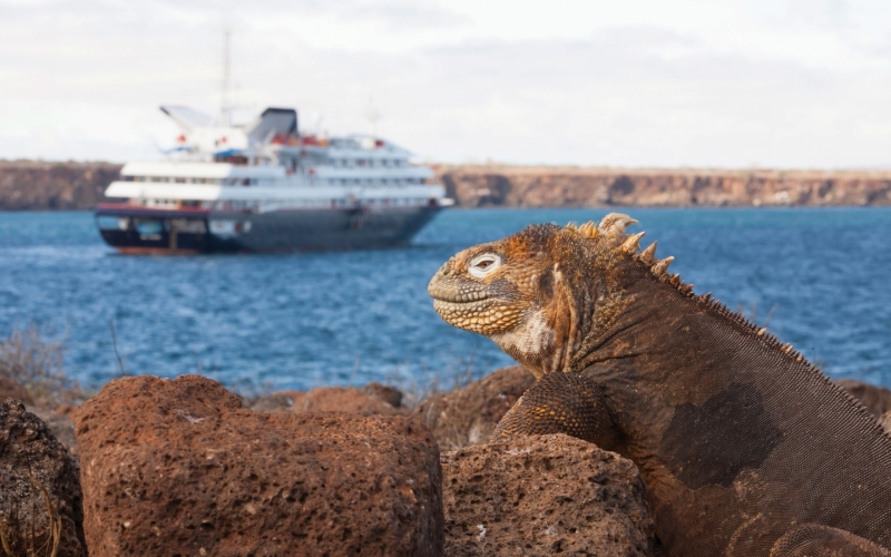 The Galapagos Islands...Darwin's Rare Wonder