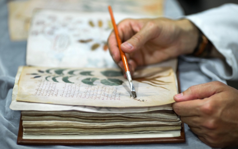 The Voynich Manuscript ... Fraught with Mystery and Ancient Lore